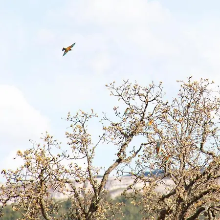 Pensionat La Llave 3*