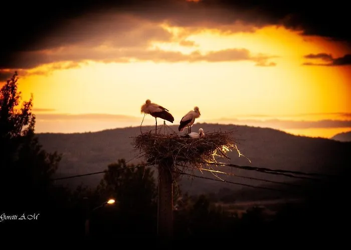 Guest house La Llave Mave